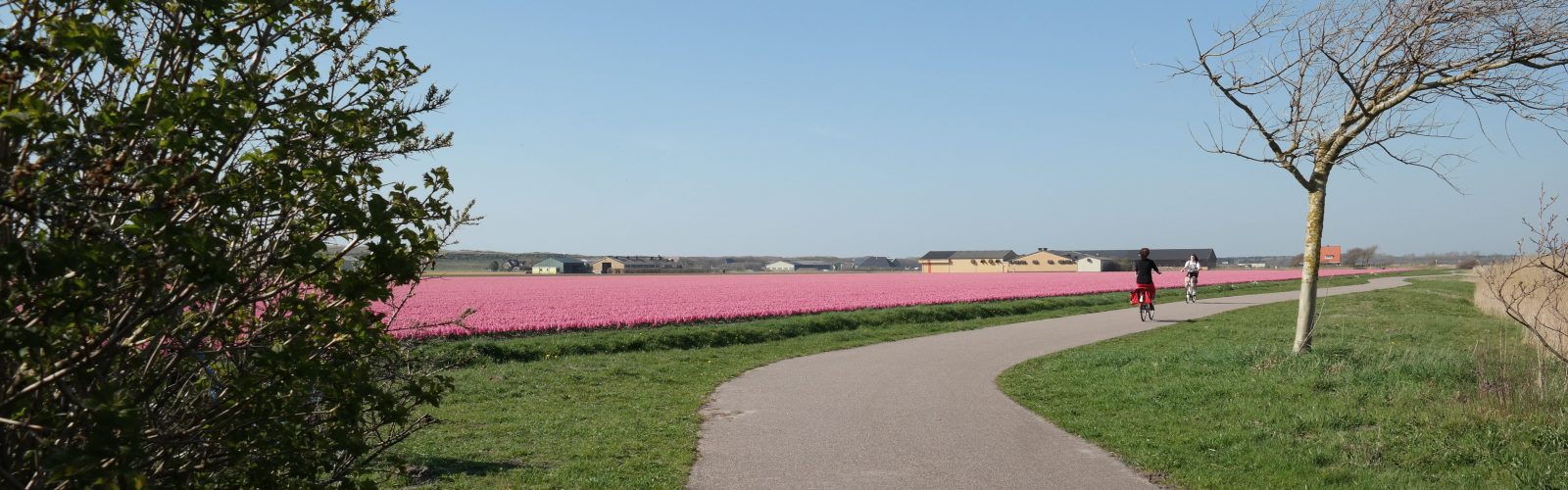 Mooie fietsroutes in Noord Holland