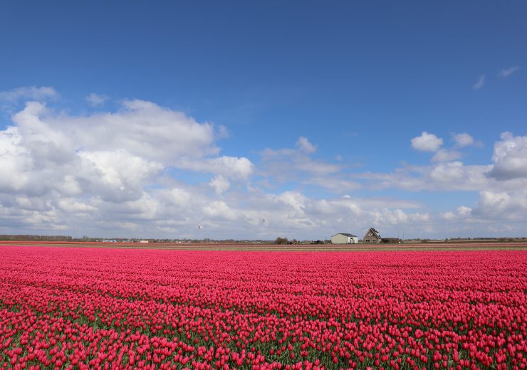 Lente aan de kust arrangementen