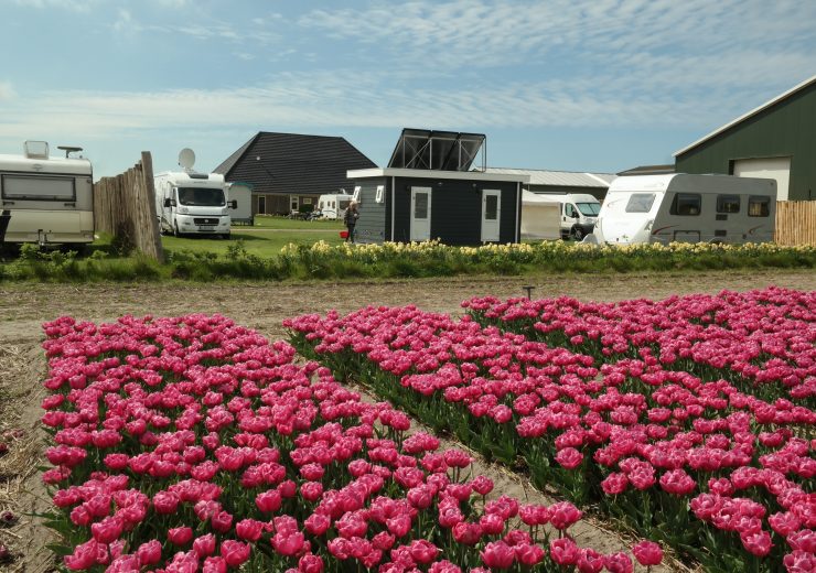 Lente aan de kust arrangementen